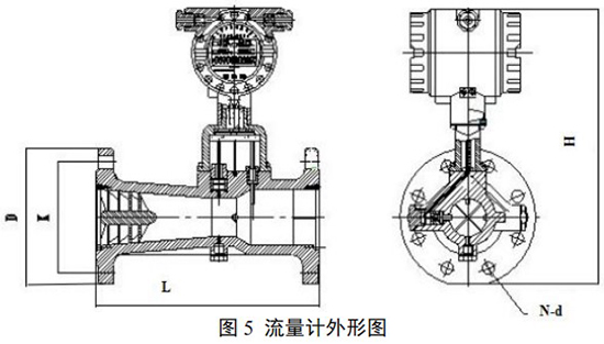 DN20旋進(jìn)旋渦流量計外形圖